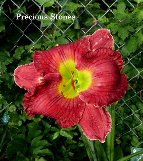 precious stones